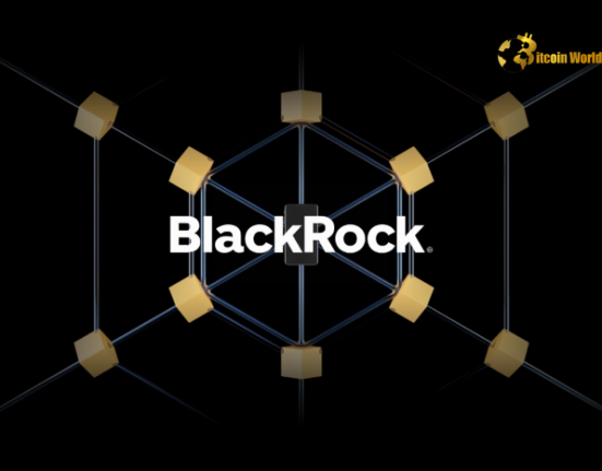 BlackRock Fund Buys First Blockchain-Issued Municipal Bonds