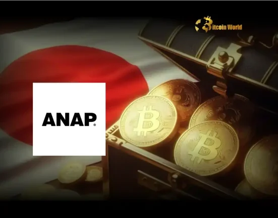 Bold Move Japanese Fashion Brand ANAP Doubles Down on Bitcoin Investment