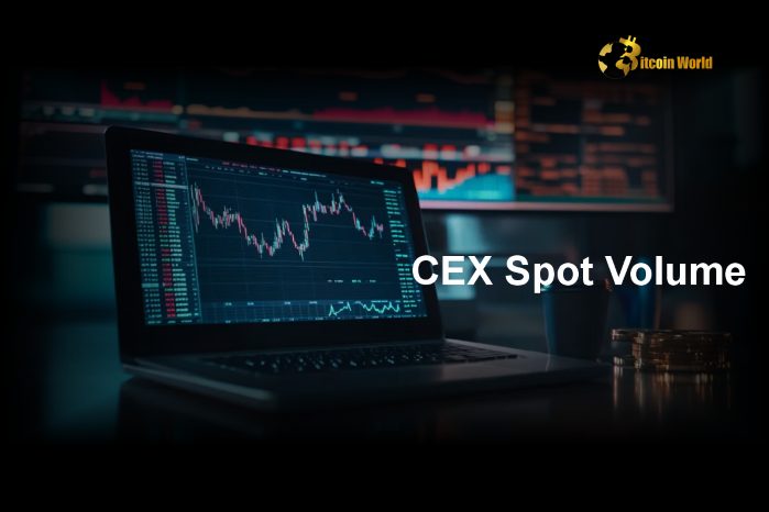 CEX Spot Volume Surges 139% in 2024 Amid Binance Market Share Decline