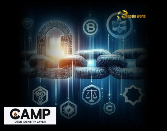 Camp Network Secures $25M to Champion AI Rights on Blockchain