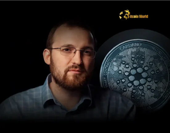 Cardano Founder Charles Hoskinson Ponders Groundbreaking Privacy Stablecoin
