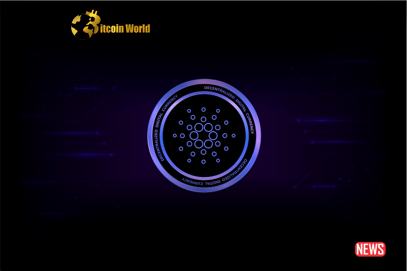Cardano’s Stats are Well and Good, but What About ADA?