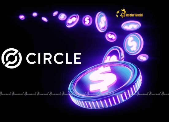 Circle (CRCL): Bernstein Unveils Bullish $230 Price Target Amidst Stablecoin Market Boom