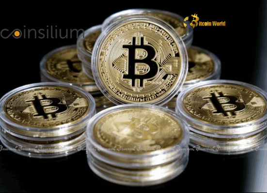Coinsilium Bitcoin: Strategic Boost Unveils Massive 73 BTC Holdings