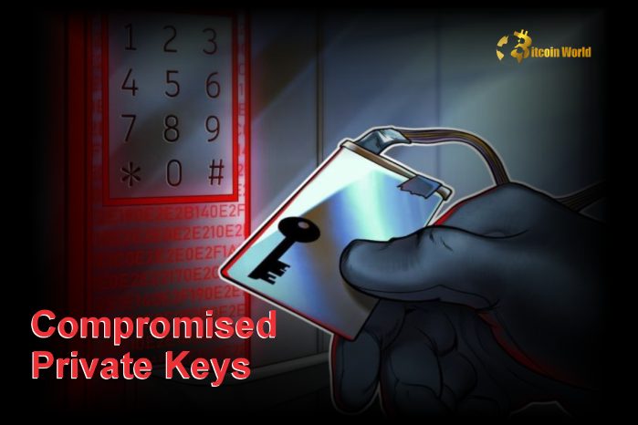 Compromised Private Keys Remain the Leading Cause of Crypto Losses in 2024