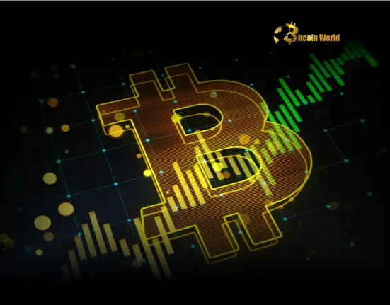 Crucial Bitcoin Trends What to Watch This Week for BTC Price Action