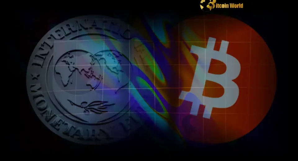 Crucial Step IMF Incorporates Digital Assets Guidance into Global Statistical Standards