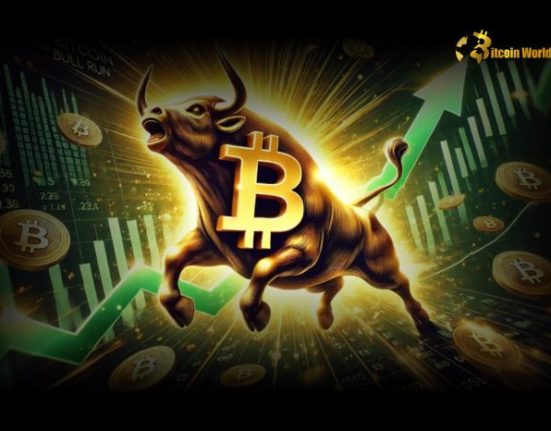 Crypto Analyst Predicts Gains for Bitcoin and Altcoins as Bull Cycle Matures