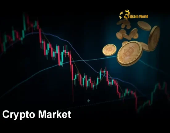 Crypto Market: Unveiling the Explosive Potential of the Next Bull Run