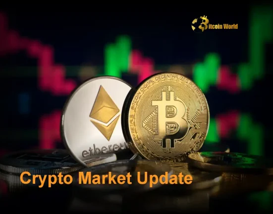 Crypto Market Update: Amazing Altcoin Growth While Bitcoin Holds Strong