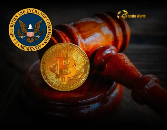 Crypto Regulation Urgent Call for Flexible SEC Approach on Digital Assets