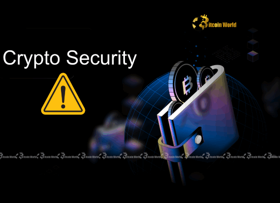 Crypto Security CZ Issues Critical Warning on Wallet Connections After Hacks