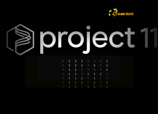 Crypto Security Firm Project Eleven Secures $6M to Combat Quantum Computing Threat