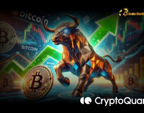 CryptoQuant CEO Predicts Bitcoin Could Reach $161K Amid Bull Market