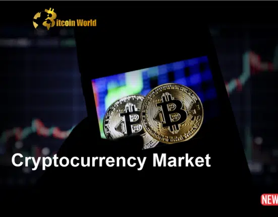 The Top 10 Cryptocurrencies: A Comprehensive Guide