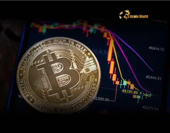 Cryptocurrency Market Unveiling the Shocking Truth Behind Recent Volatility