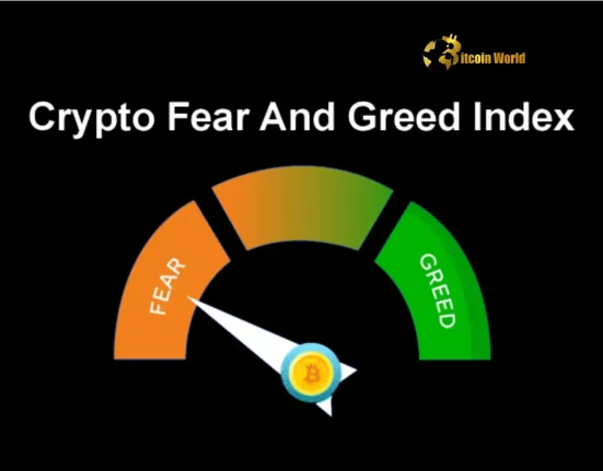 Decoding Crypto Fear: Index Edges Up but Market Sentiment Remains in 'Fear' Zone