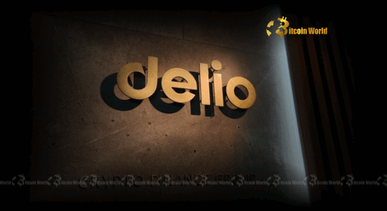 Delio CEO Attack Shocking Consequences for Crypto Losses