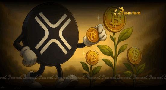 DigitalX Unveils Massive Bitcoin Acquisition Total Holdings Soar