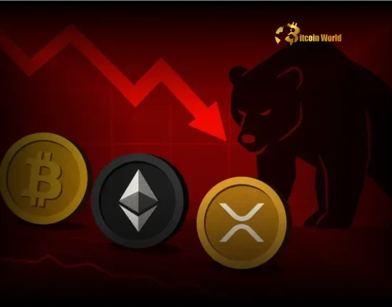 Dire Warning Coinbase Report Signals Prolonged Crypto Market Downtrend