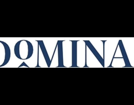 Dominari Year to Date Revenue Increases by 14% Over 2025