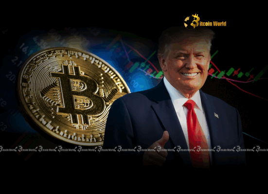 Donald Trump's Optimistic View: Crypto Unlocks Jobs, Bitcoin Eases Dollar Pressure