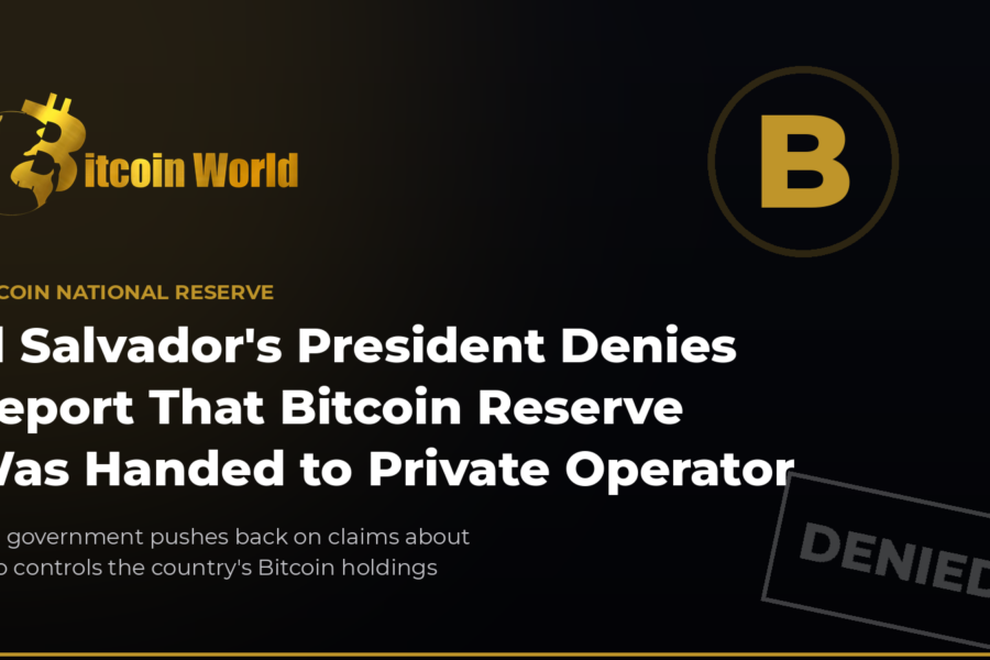El Salvador's President Denies Report That Country's Bitcoin Reserve Was Handed to a Private Operator