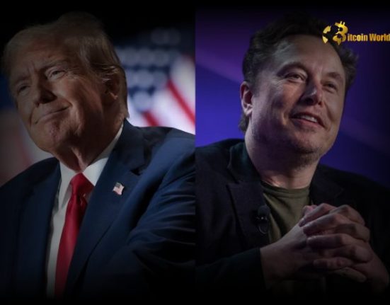Elon Musk Predicts Trump Will Pardon Silk Road Founder Ross Ulbricht