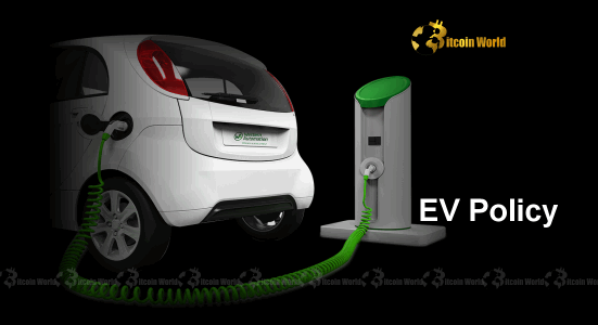 Elon Musk's Future: Trump Unveils Crucial Warnings Beyond EV Policy