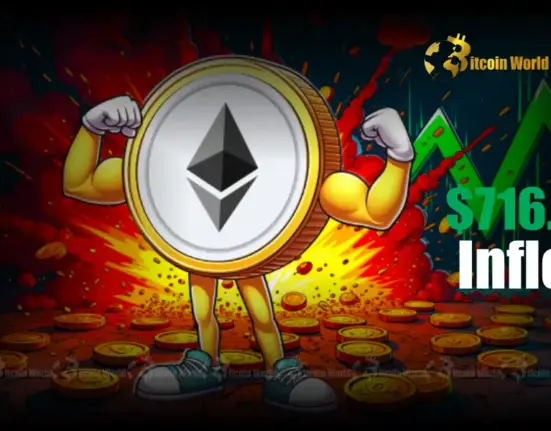 Ethereum ETFs Ignite Record $716.63M Inflows Propel Market Excitement