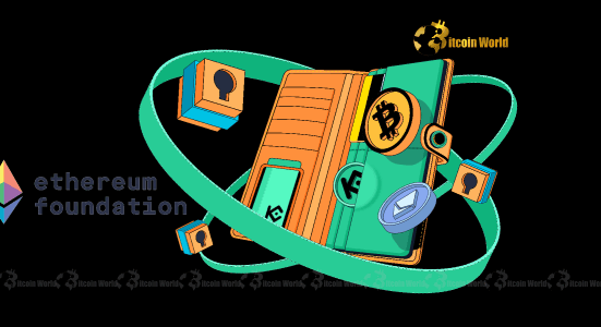 Ethereum Foundation's Strategic ETH Transfers: Unpacking the Multisig Wallet Movement