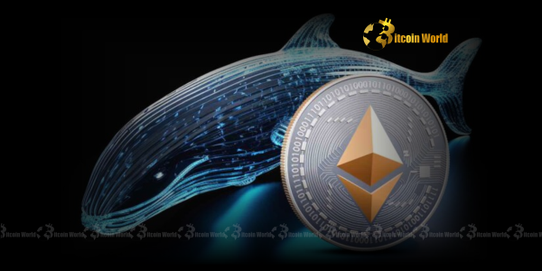 Ethereum Whale Activity: Unveiling a Strategic $9.84M ETH Withdrawal from Kraken