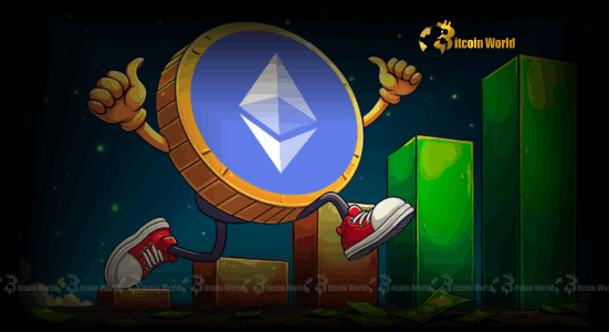 Ethereum Transactions Soar Unveiling Remarkable Network Growth