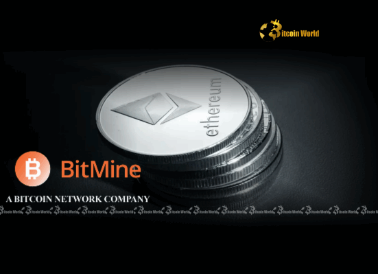 Ethereum Treasury: BitMine's Bold $250M Move Transforming Crypto Investment