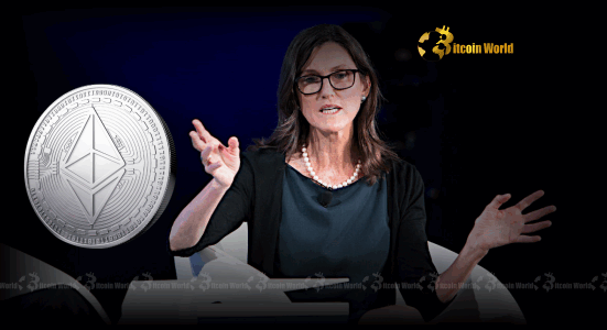 Ethereum’s Unlocking Potential Cathie Wood Praises Scalability and Privacy Efforts