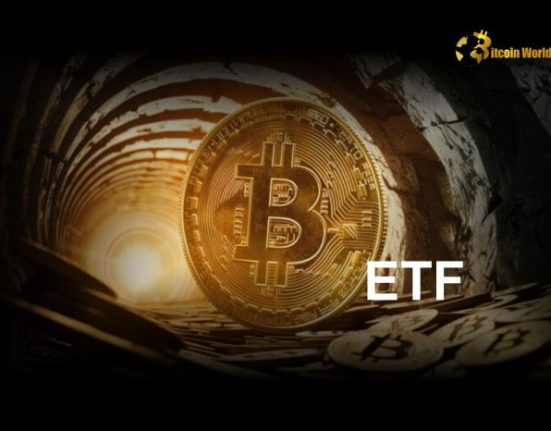 Expert Predicts Strong Bitcoin ETF Demand in 2025, Driven by Credibility and Education