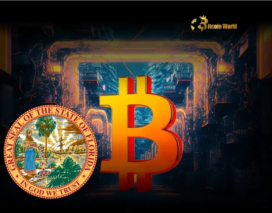 Florida Bitcoin Reserve Effort Suffers Shock Defeat as Bills Fail