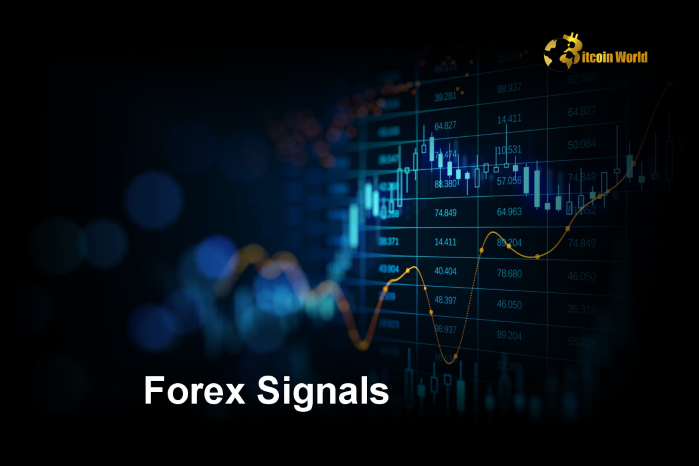 Comprehensive Guide to Forex Signals: Free, Live, and the Best Providers