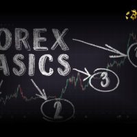 Forex Trading Basics: A Beginner’s Guide to the Foreign Exchange Market