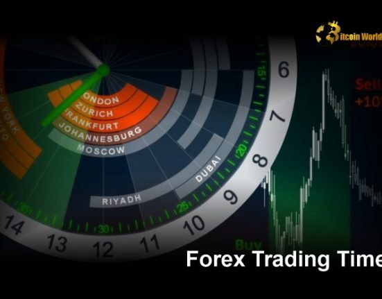 A Comprehensive Guide to Forex Trading and Demo Accounts: Best Options for 2024