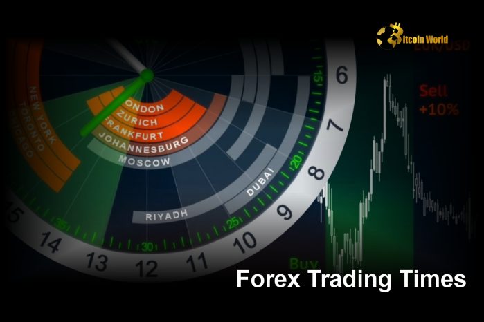 A Comprehensive Guide to Forex Trading and Demo Accounts: Best Options for 2024