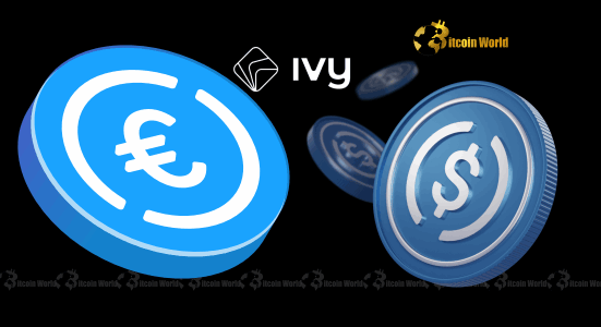 German Fintech Ivy Unleashes Seamless USDC EURC Integration