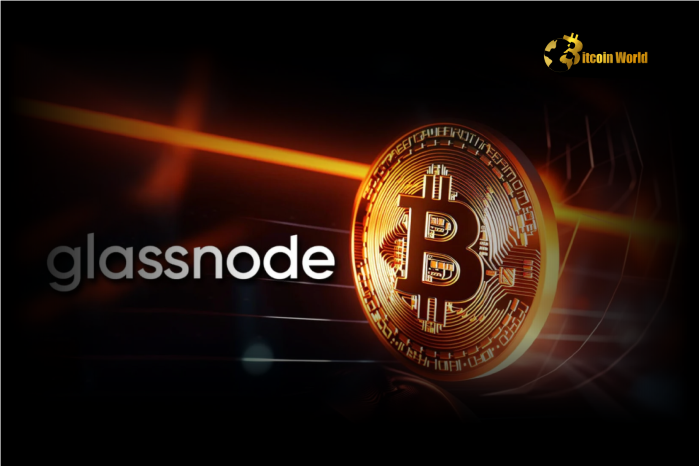 Glassnode: Bitcoin Yet to Hit Extreme Euphoria Levels