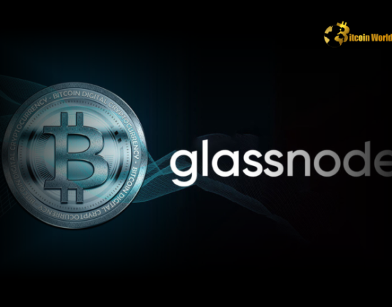 Glassnode Co-Founders Warn of Bitcoin Volatility Risks Amid Recovering Momentum