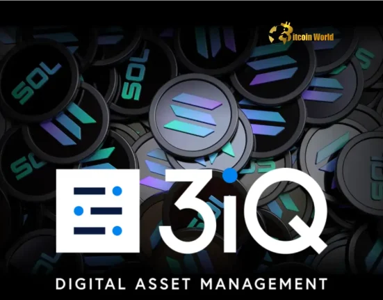 Groundbreaking: 3iQ Unveils North America's First Solana Staking ETF on TSX