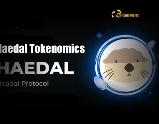 Haedal Tokenomics Unlock Exciting Details on the HAEDAL Token Launch