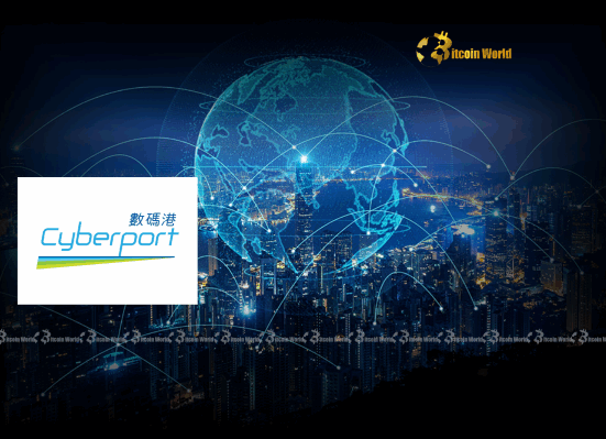 Hong Kong Web3 Cyberport Unleashes Vital Funding for Blockchain Innovation