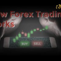 How Forex Trading Works: A Beginner’s Guide to Currency Trading