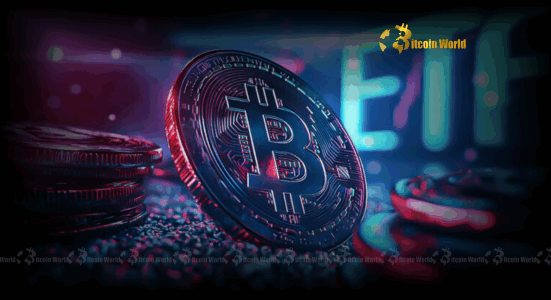 IBIT Bitcoin ETF Unleashes Unprecedented Growth, Dominating the Investment Landscape