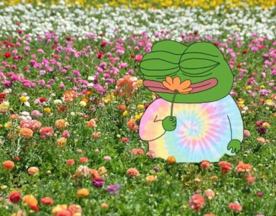 Apu Memecoin Soars, Reaching 11,600 Token Holders with Strong Community Support